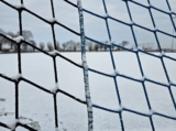 Sneeuwlaag bedekt sportpark 'Het Springer' (20/37)